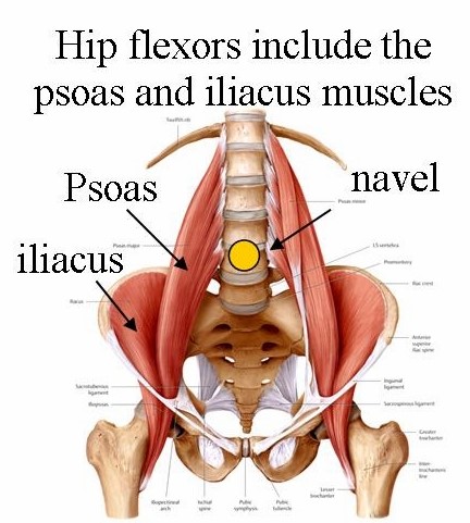 How do you know you have a hip flexor strain?